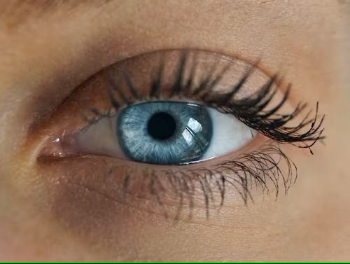 ACUVUE contact lenses for clear and comfortable vision