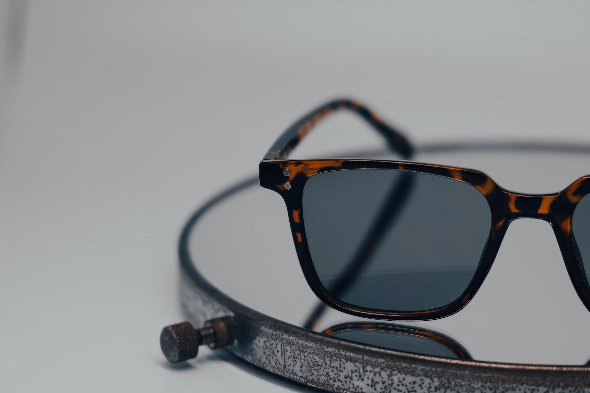 Lee Cooper wayfarer shades
