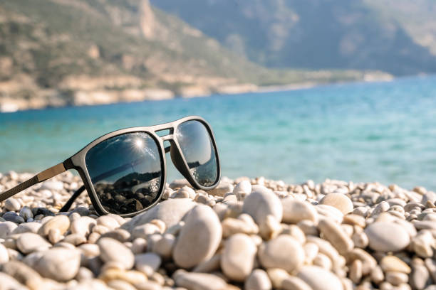 eyewear Momo Design sunglasses images
