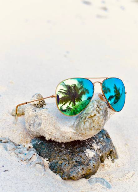 Stylish Shamir eyewear for glare-free outdoor vision