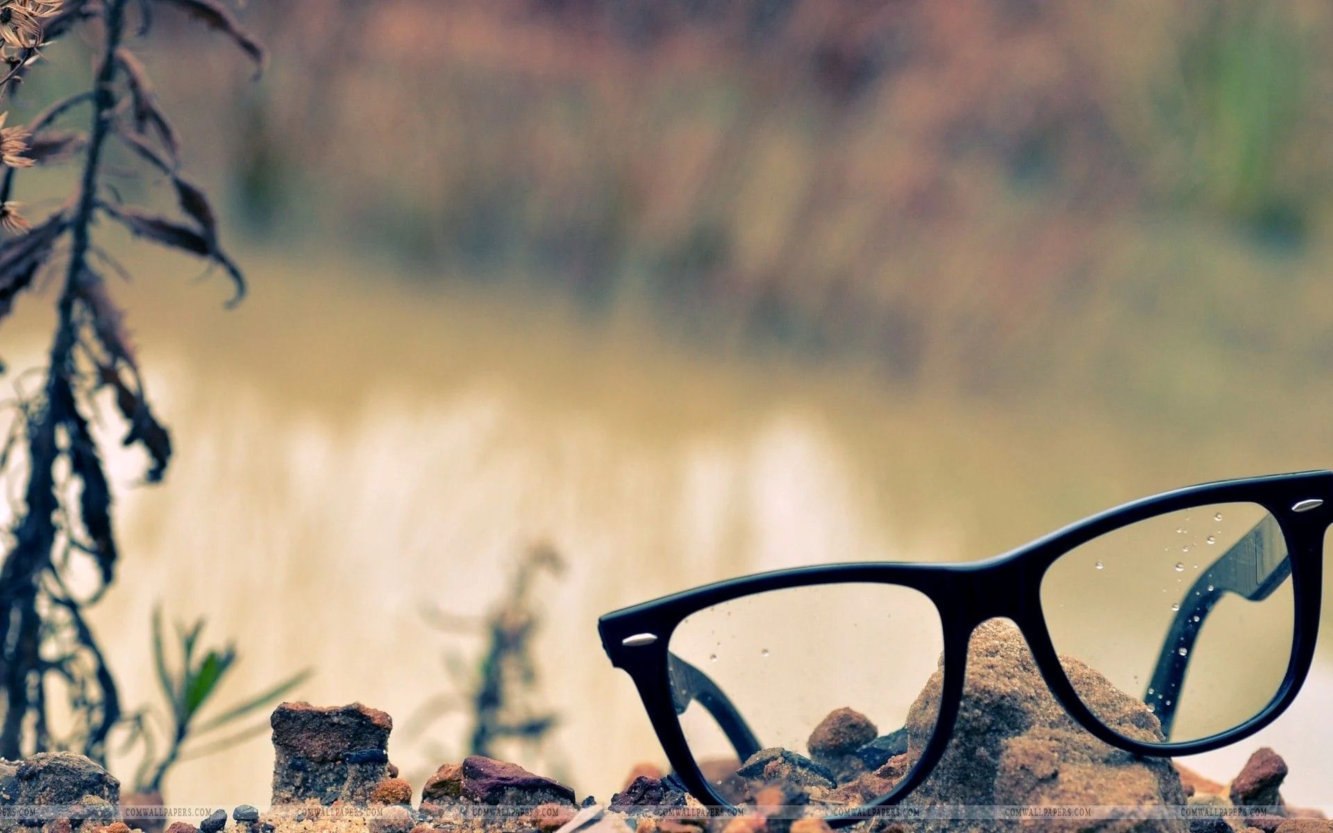 Eyeglasses with Varilux multifocal lenses